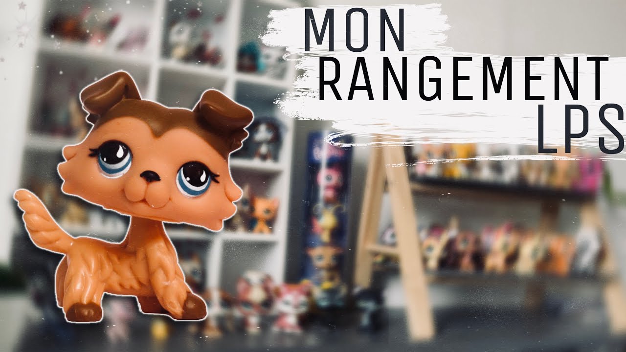 Mon rangement LPS!
