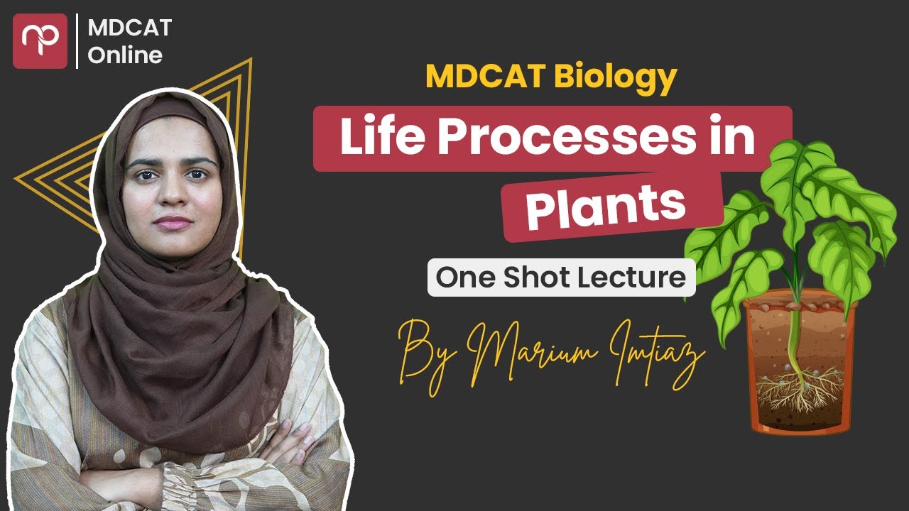 Life Processes in Plants | One Shot Lecture | MDCAT Biology