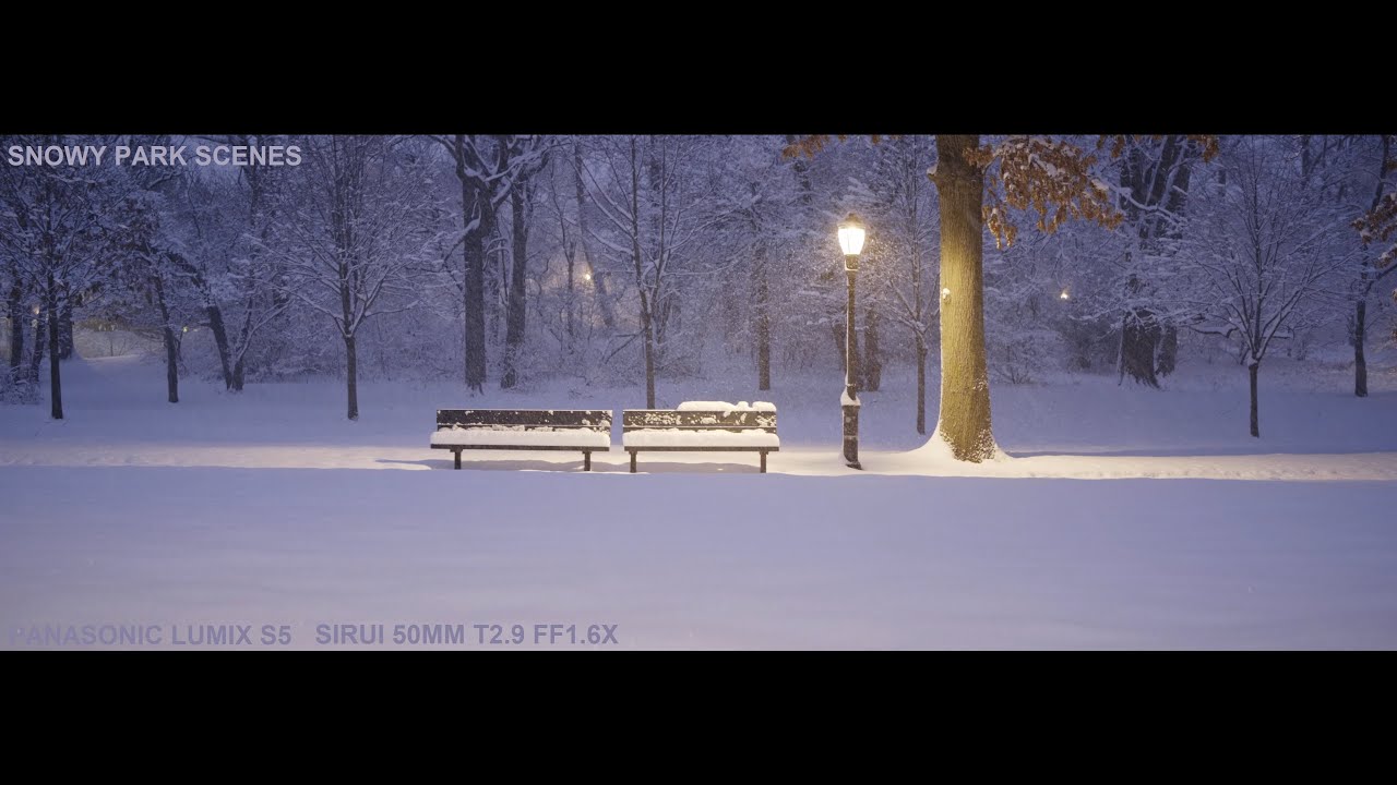 Snowy Morning in New York Panasonic Lumix S5 Sirui 50mm T2.9 1.6X FF anamorphic lens. Ambient sound
