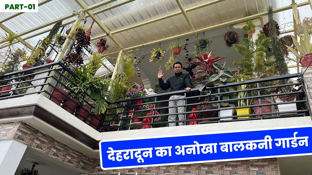देहरादून के कोने कोने से ढूंढकर लाया हूँ पौधे 😯 Beautiful Balcony Garden of Dehradun 🤩 Garden Tour