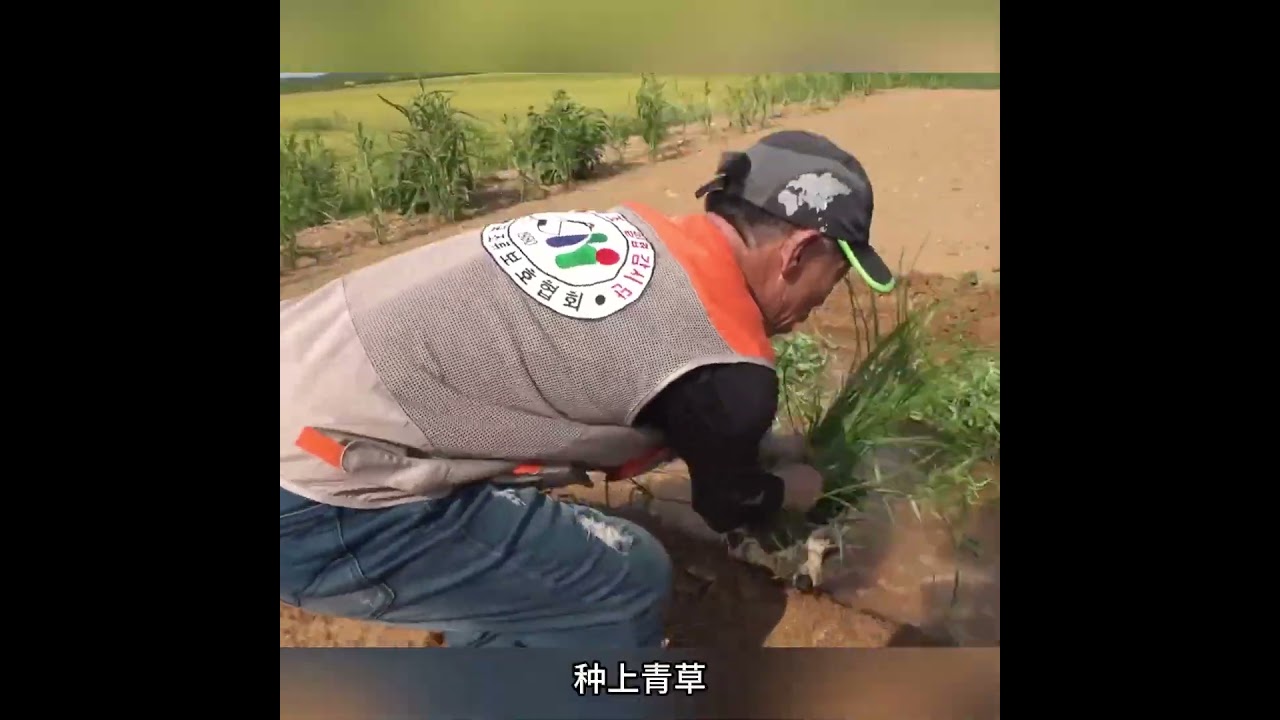 它比大熊猫还要珍贵，一辈子都黑着脸，却唯独对男子不一般！ #animals #动物救助 #主人 #寵物友善日常 #搞笑 #感人壹幕 #pets #cute #寵物