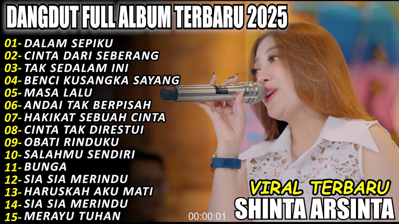 DALAM SEPIKU DANGDUT FULL ALBUM TERBARU DANGDUT KOPLO TERBARU 2025! PIK NADA
