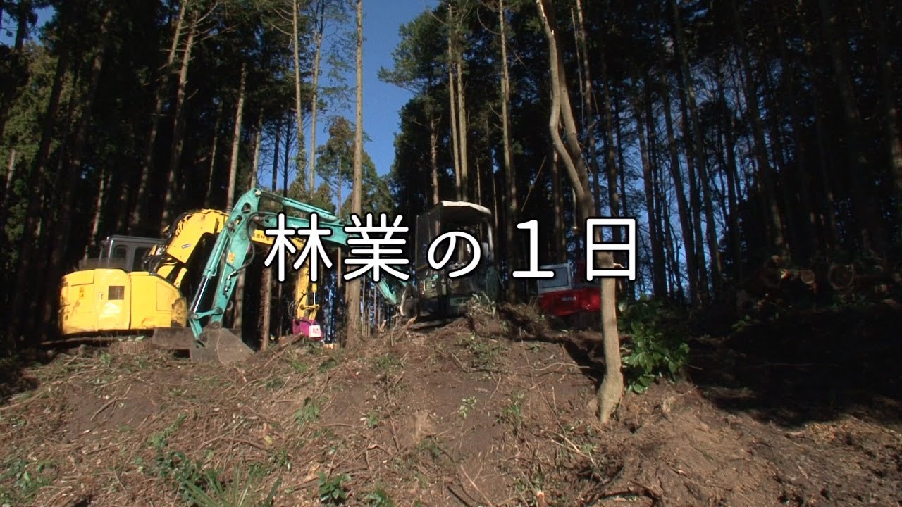 林業の一日