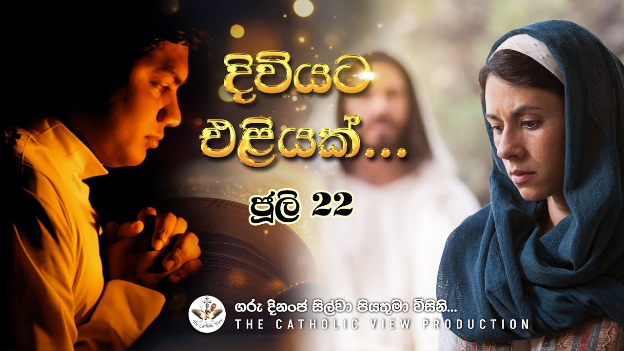 Sinhala Reflection | Daily Reflection 22nd July | Rev. Fr. Dinanja Silva | The Catholic View