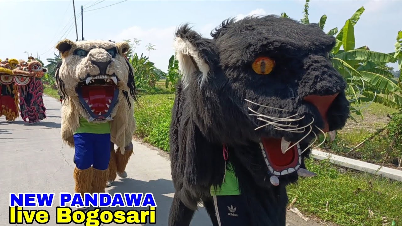 BARONGAN MACANAN NEW PANDAWA LIVE BOGOSARI 