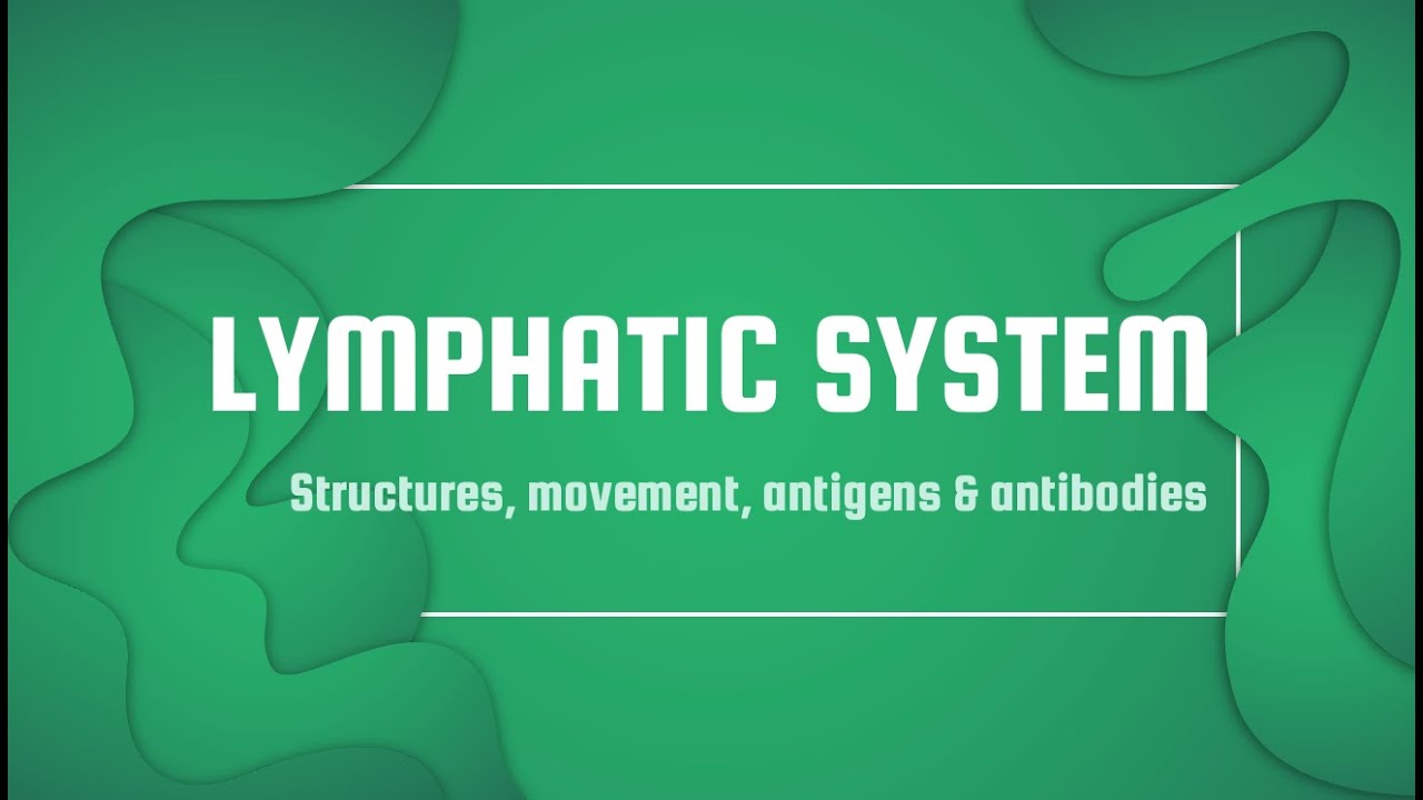 Unit 10 Structures movement of lymph