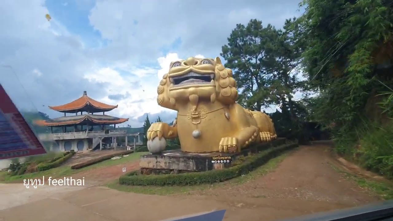 ดอยแม่สลอง 2563