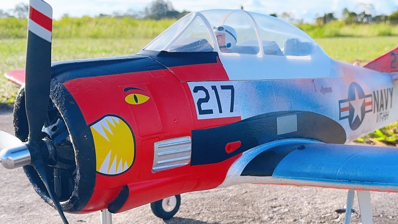 E-flite T-28 Trojan 1.2m ( Windy Conditions)