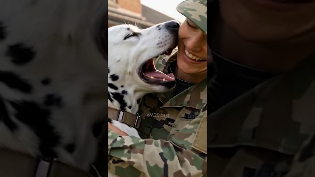 Soldiers Emotional Reunion With Blind Dog After Months Apart! 