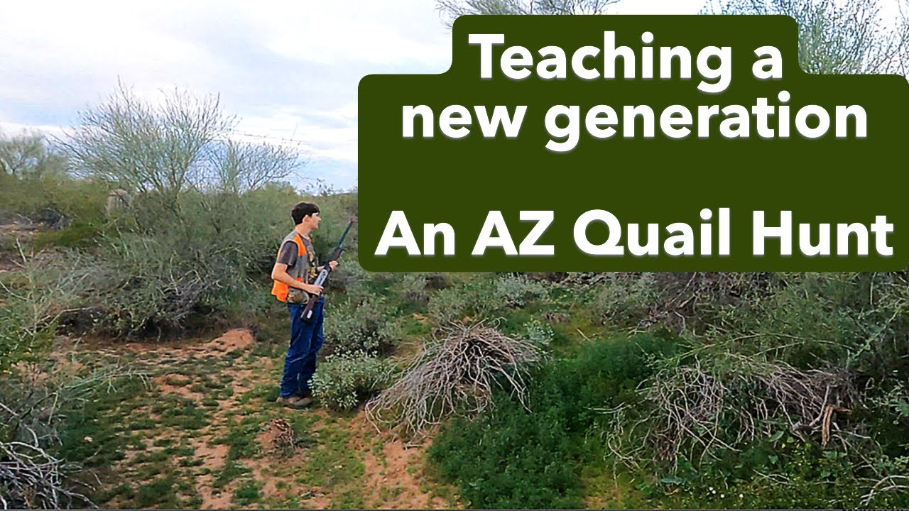 Teaching the Next Generation | A Quail Hunt With My Son