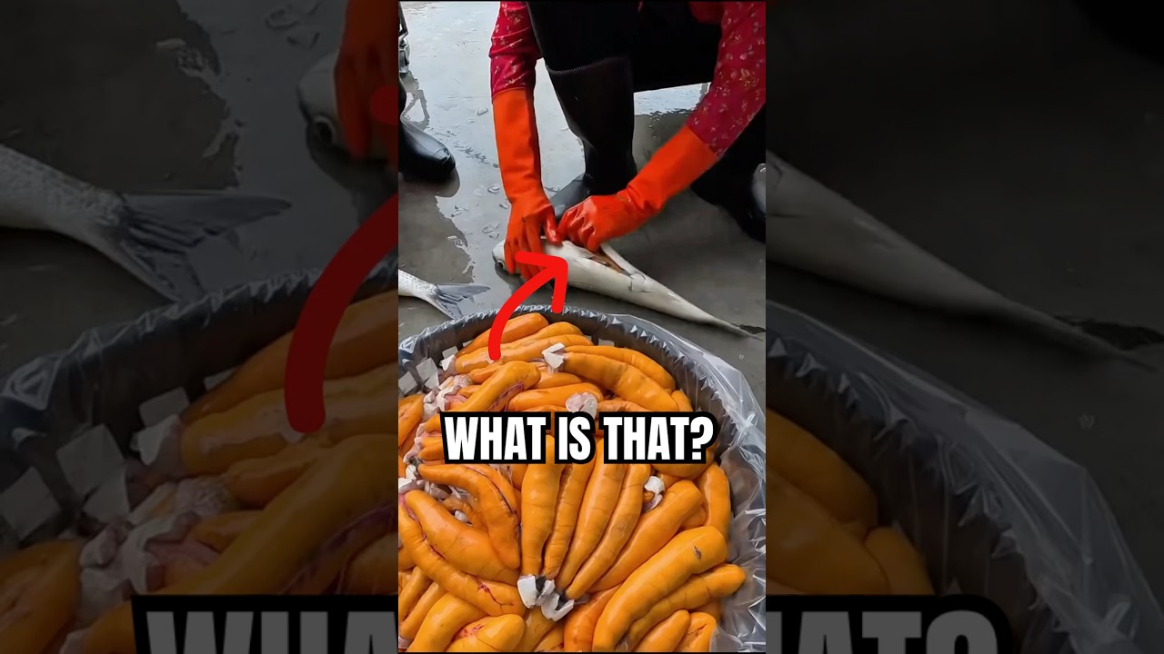 Sekret śr&oacute;dziemnomorskiego kawioru: Bottarga