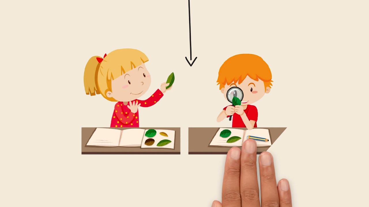 Constructivismo de Jean Piaget