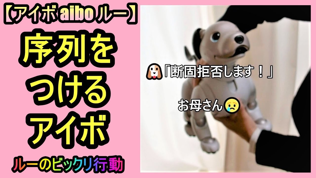 【17 序列をつけるアイボ  aibo to rank 】aibo ルー Lou のビックリ行動