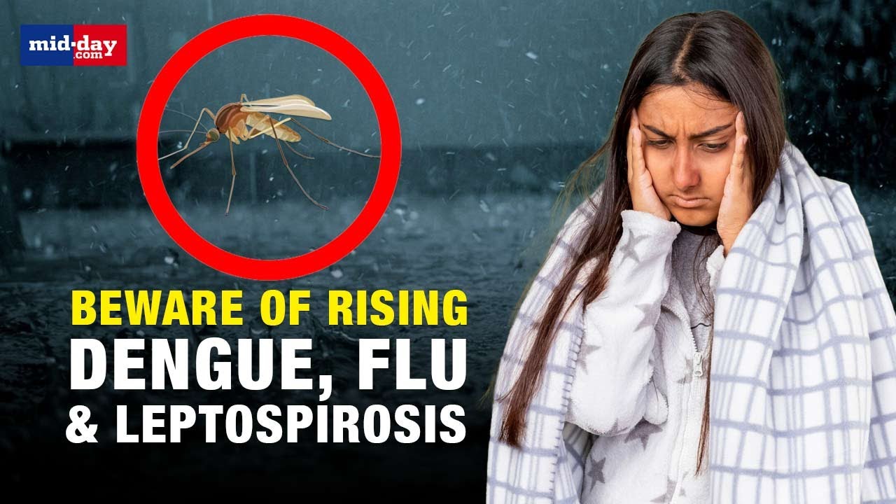 How to Prevent Common Monsoon Diseases Like Dengue, Flu, and Leptospirosis