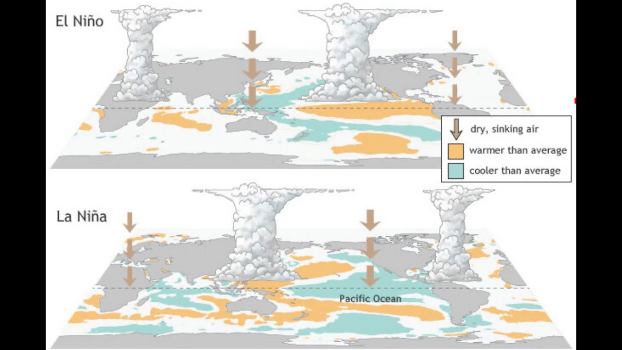 ENSO La Nina Update: Jan 18, 2026