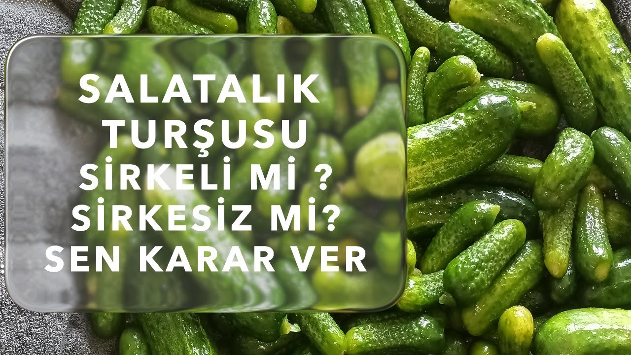 SALATALIK TURŞUSU KURUYORUZ ✅ SİRKELİ Mİ YOKSA SİRKESİZ Mİ SEN KARAR VER ✨ İKİ TARİFTE BU VİDEODA 🎁