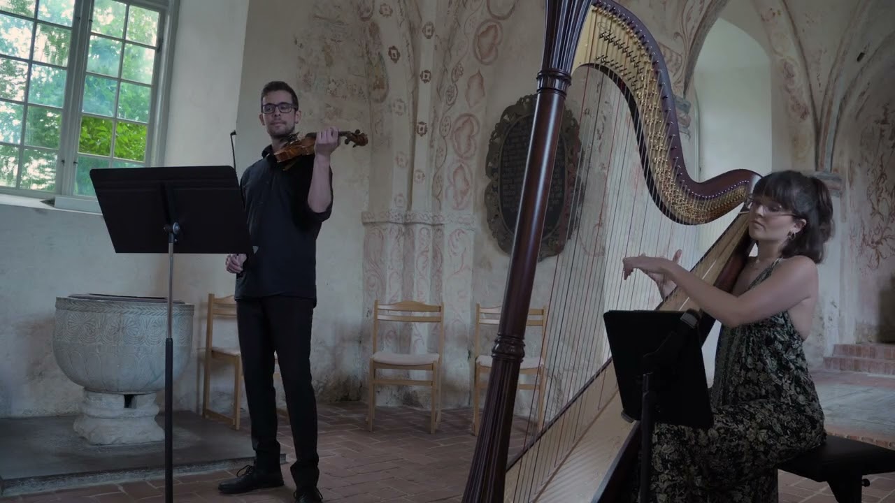 Camille Saint-Saëns: Le cygne for violin and harp - Duo Besne