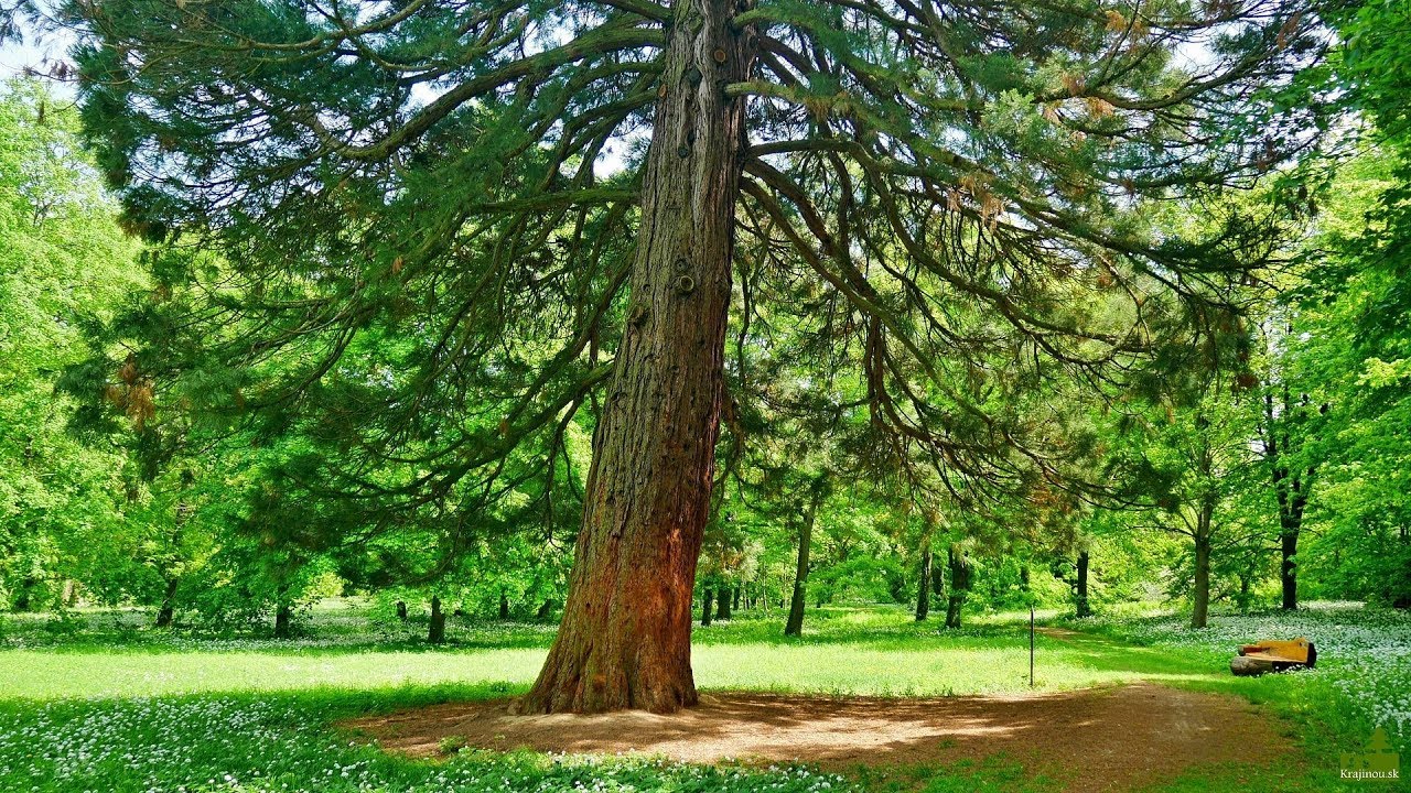 Kaštieľ a park Dolná Krupá