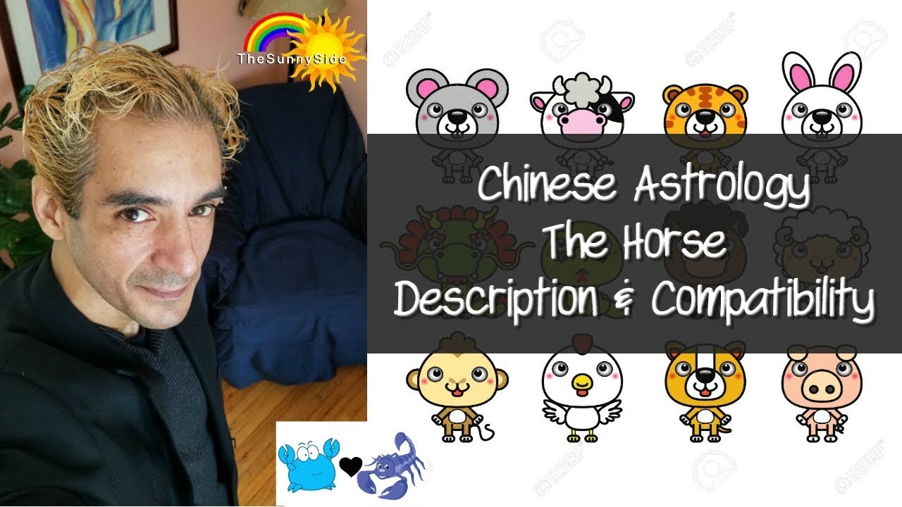 Chinese Astrology: The Horse - Personality & Compatibility