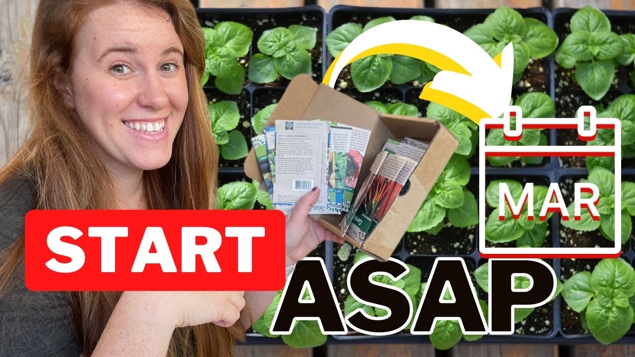 Seeds To Start In March. Cold Climate Zone Guide