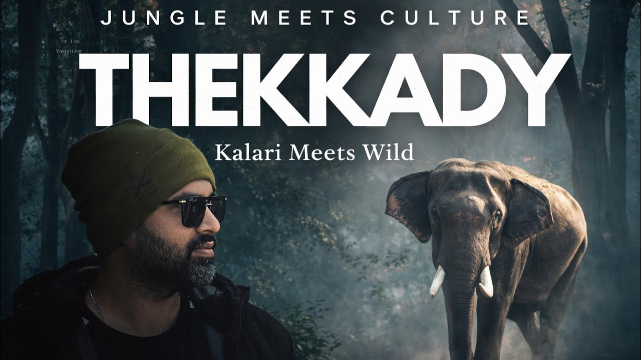 Kalari, elephants & the raw jungle energy of Kerala. #thekkady #kerala #wildlife #viral #vlog 