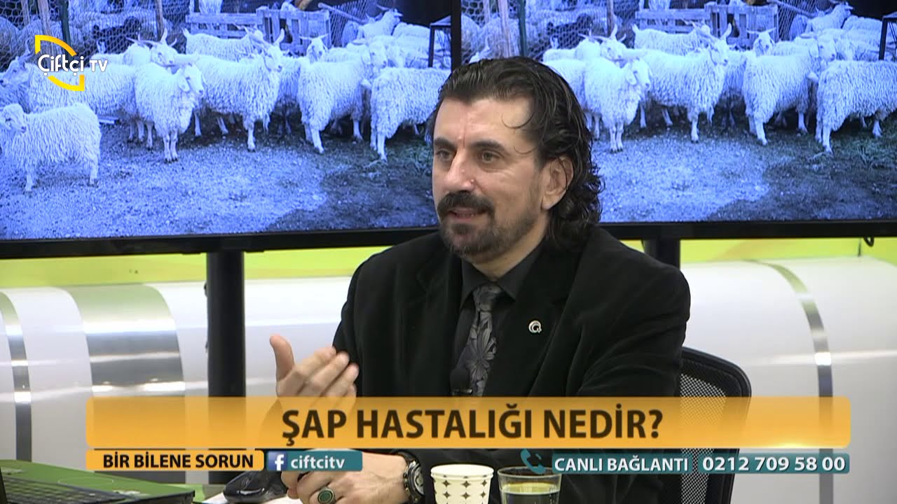 BİR BİLENE SORUN/ŞAP HASTALIĞI NEDİR?