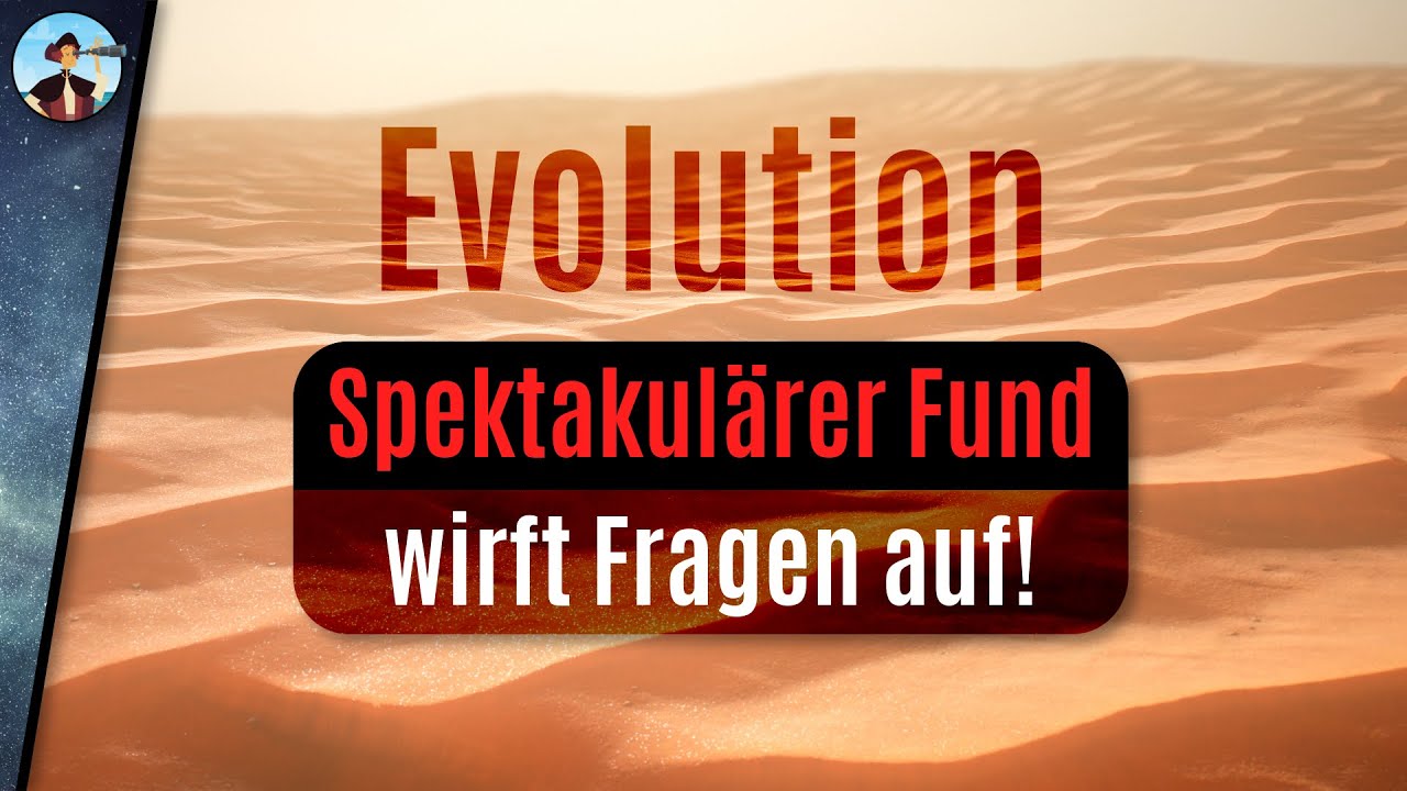 Etwas stimmt nicht mit unserer Evolutionstheorie...