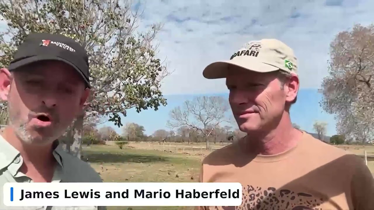 Field Journal Brazil: A Conversation from the Pantanal
