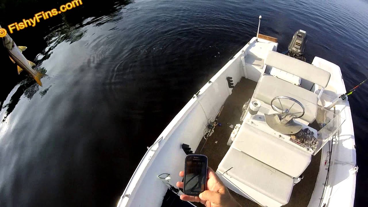 Snook MrWiffeLure Frank Charlotte Harbor