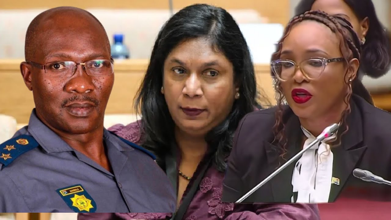 GEN SENTHUMULE ON ANDREA JOHNSON OF IDAC INVESTIGATIONS INTO KHUMALO