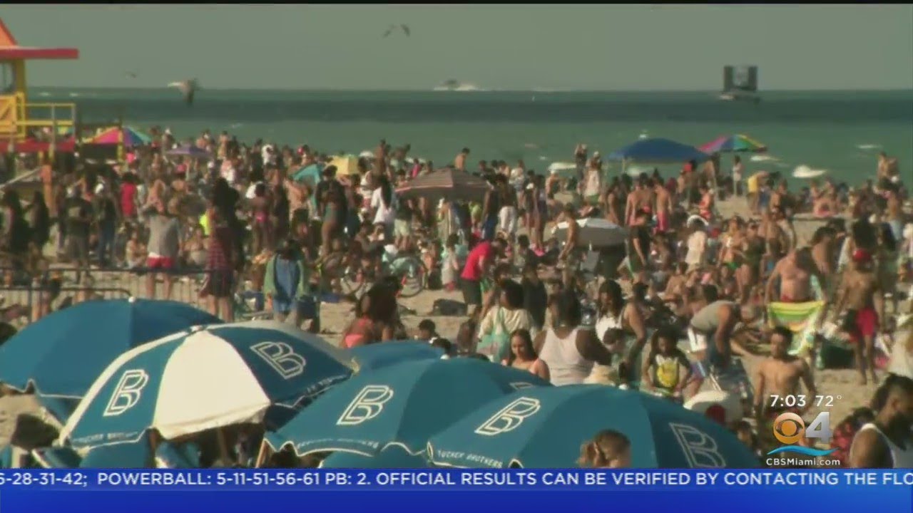 Miami Beach Dan Gelber Says Spring Breakers Causing A Scene Need To Leave