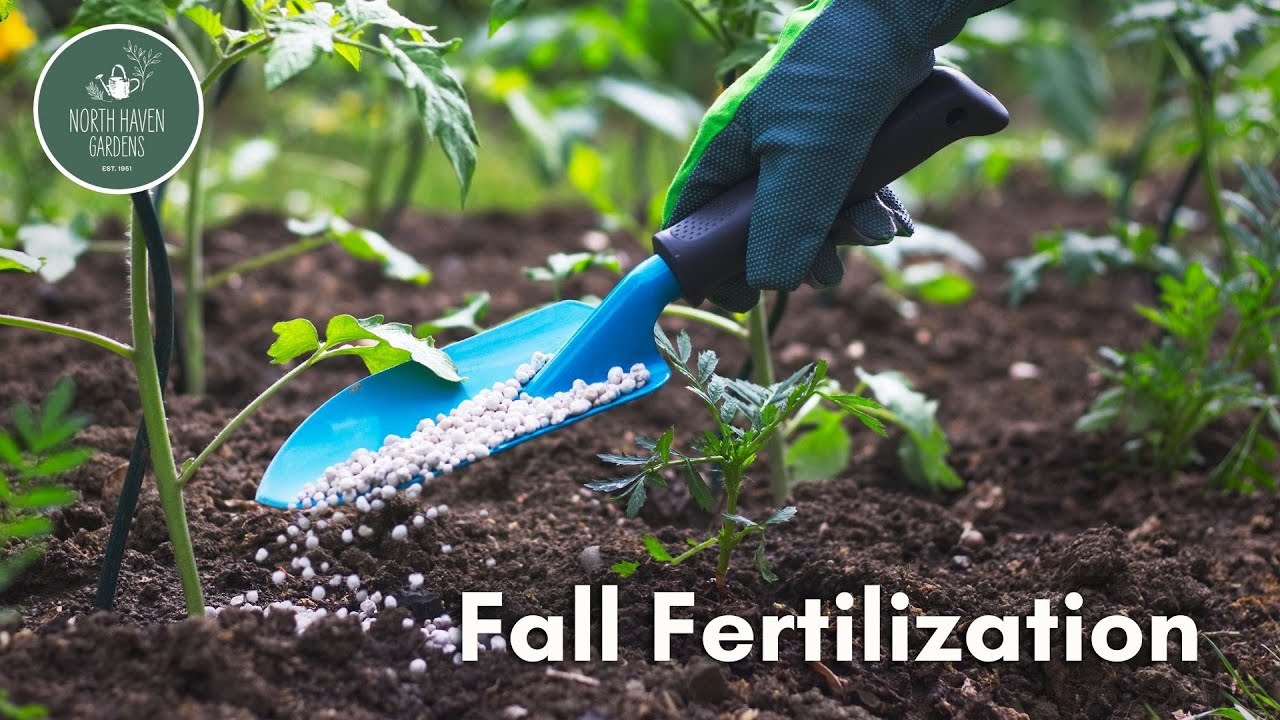 Fall Fertilization Tips 🍂 | How to Prepare Your Garden for Winter with Rusty Allen