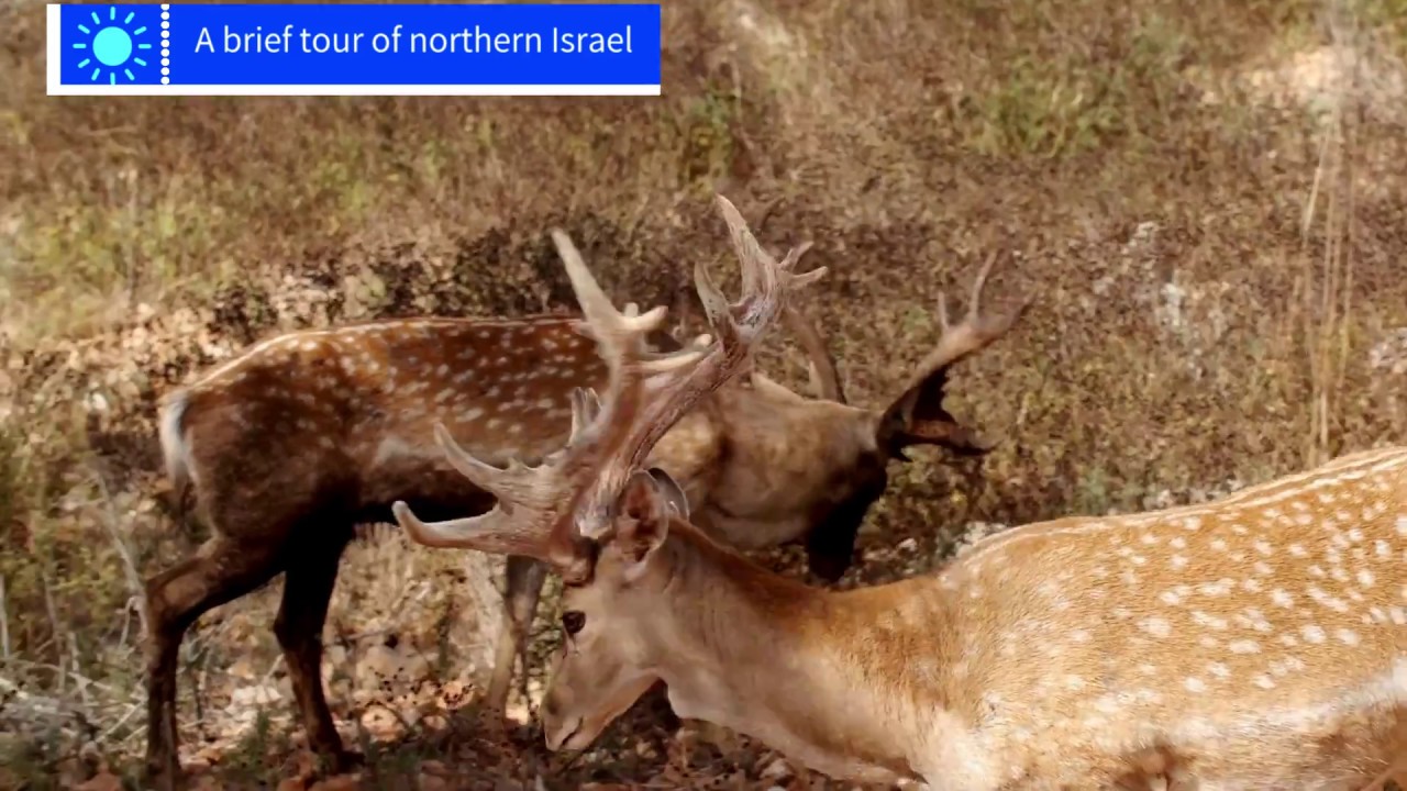Get inspired by the stunning Northern Israel