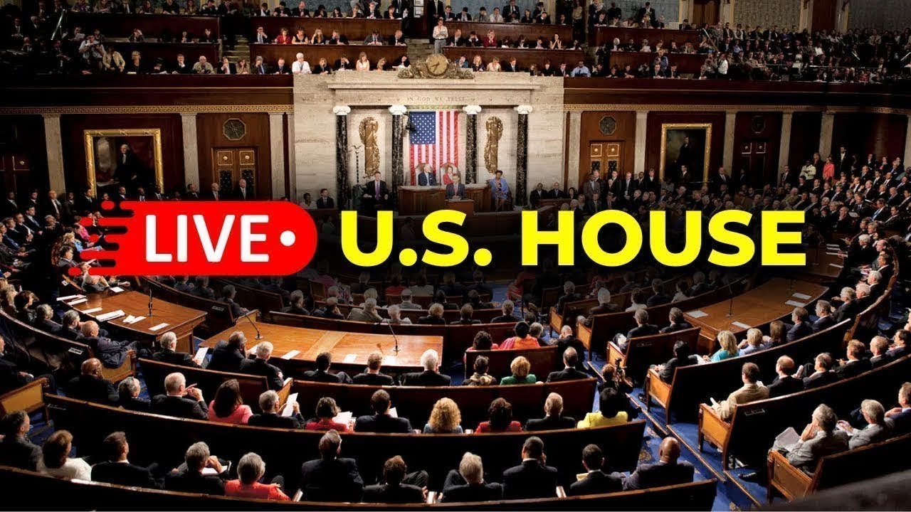 US House LIVE: Lawmaker Vows Vote on Articles of Impeachment Against Trump | ICE Shooting | US News