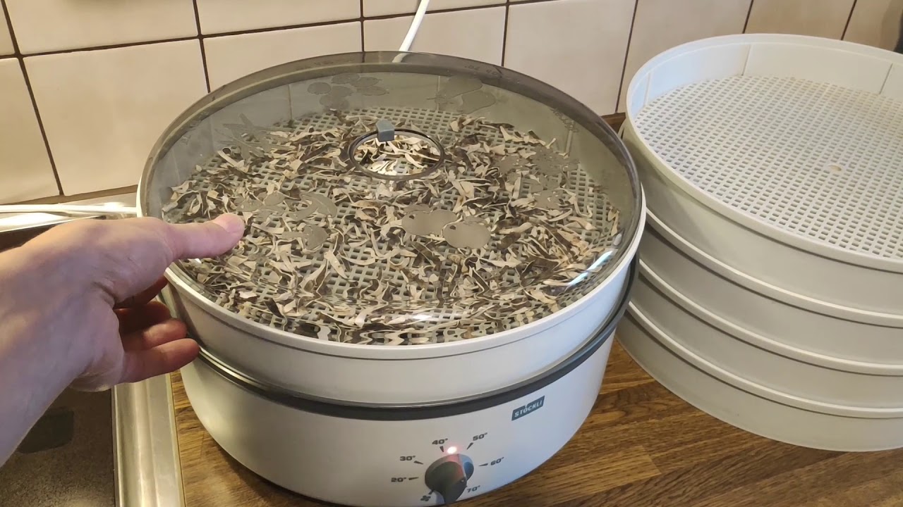Bestes Dörrgerät für Pilze, Kräuter und mehr - der Stöckli Dörrex