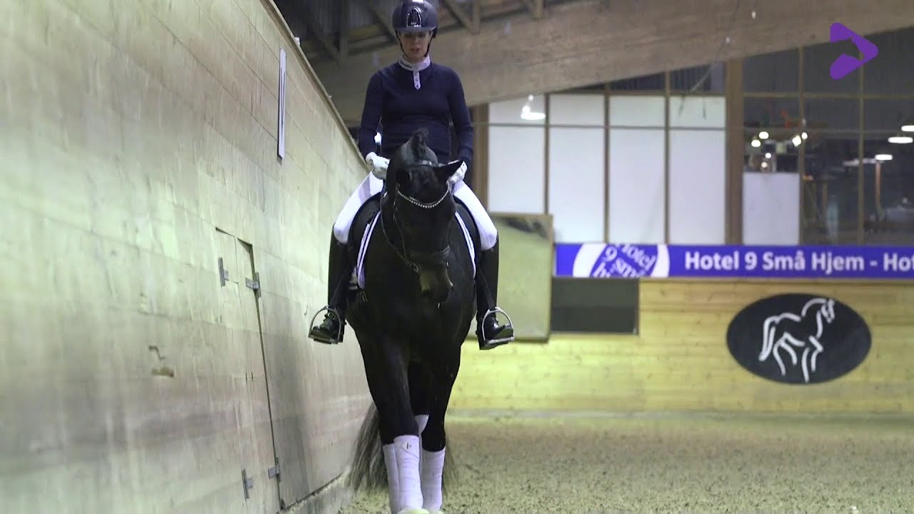 Rune Willum & Selina Solberg - træning af 4 års hest / training a 4-year old horse