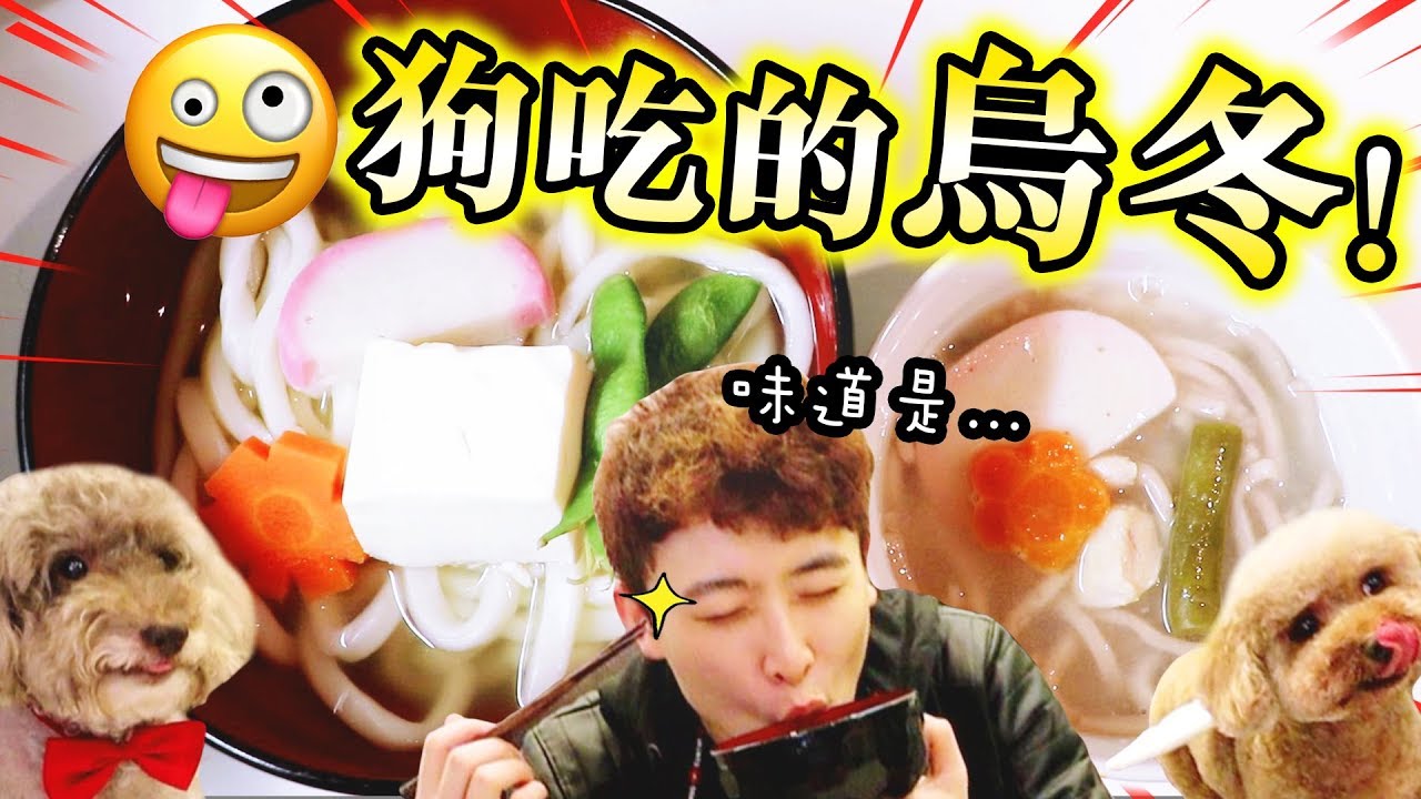【🐶狗狗吃的烏龍麵！？】是什麼味道😲？觀眾送「大便」給MUFFIN💩..(中字)觀眾禮物開箱#下集