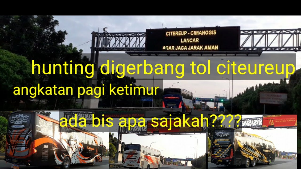 angkatan pagi ketimur di gerbang tol citeureup ada bus apa saja kah???