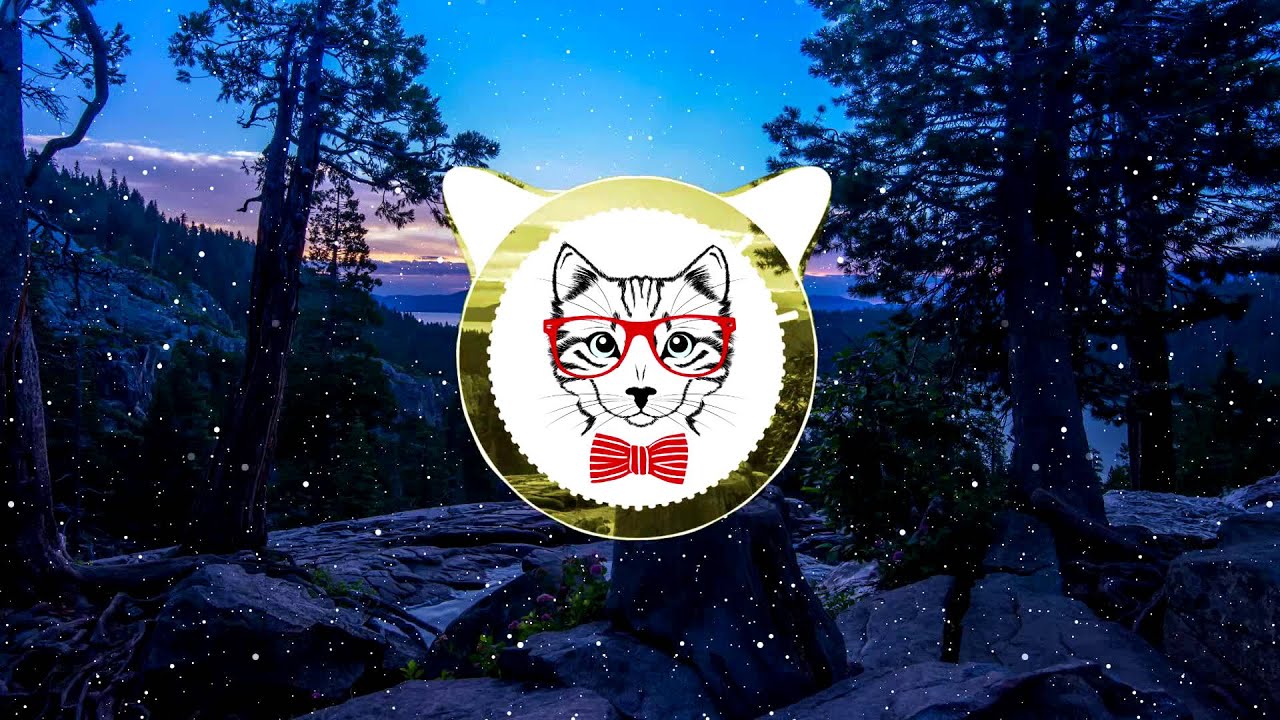Lady Bee - Punani