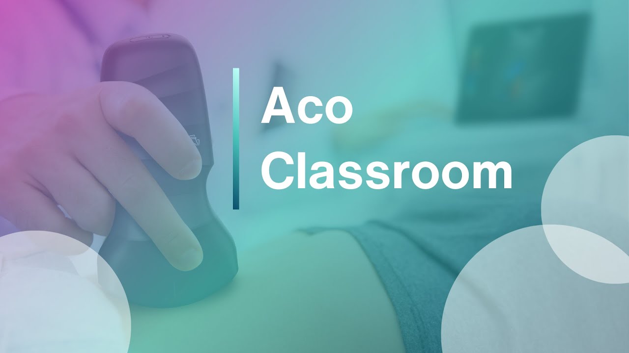 Celiac Trunk | Aco Classroom