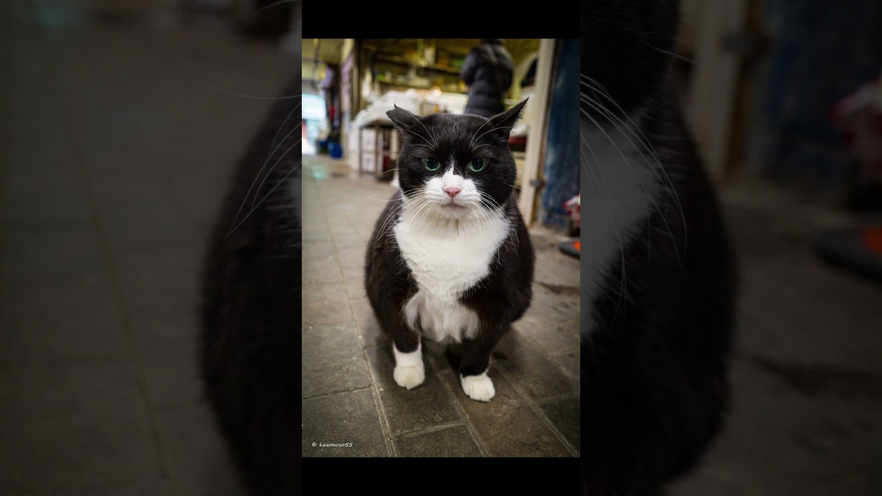 2025年12月GRIIIで撮った仙台の景色 