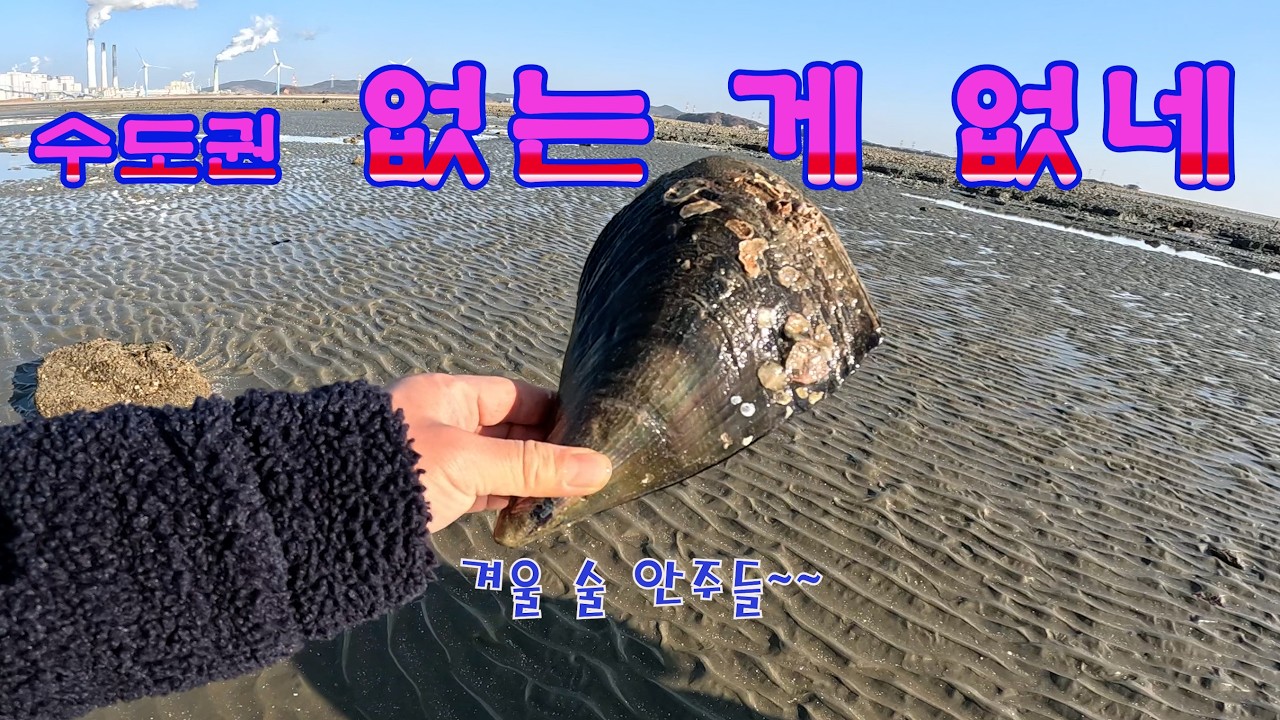 없는 게 없는 곳(키조개 우줄기 소라 개불)