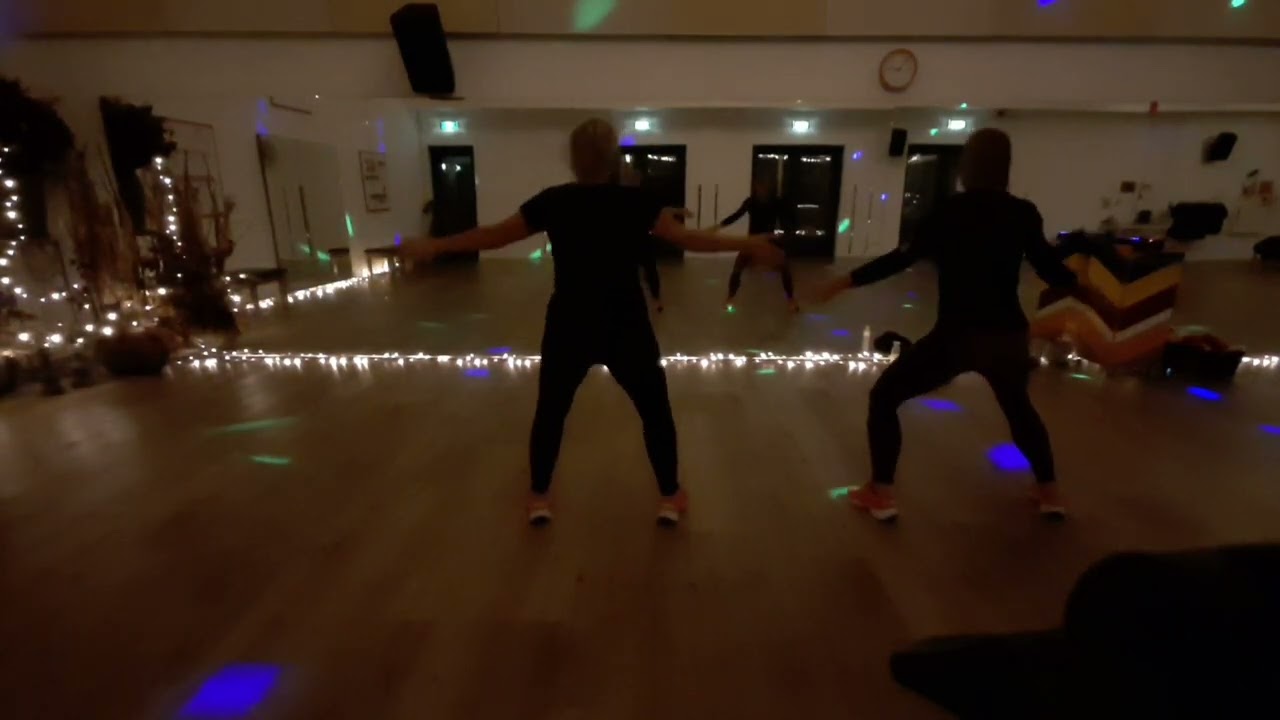DancingBeesel Zumba Fitness 