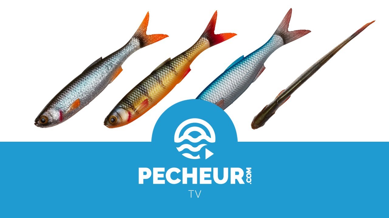 Dying Minnow de Savage Gear (avec Numa Marengo) - Mon leurre préféré