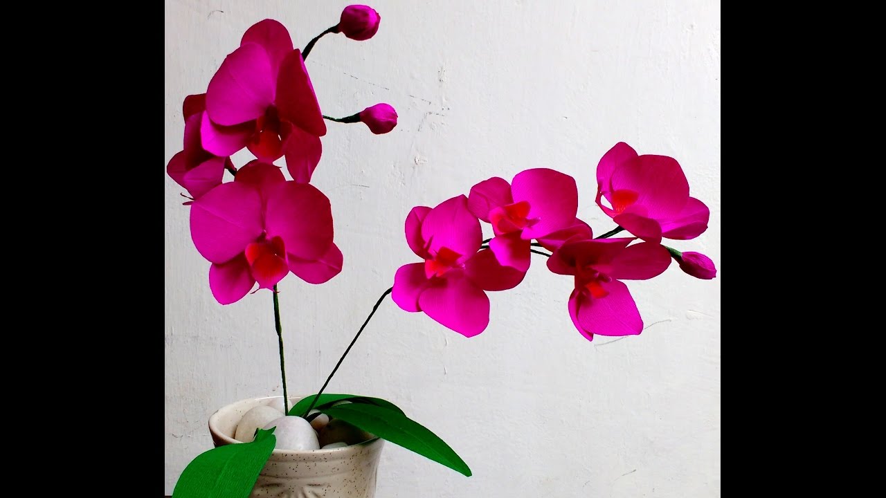 How to make Easy Paper Flowers Orchid Phalaenopsis / Moth Orchid (flower # 91)