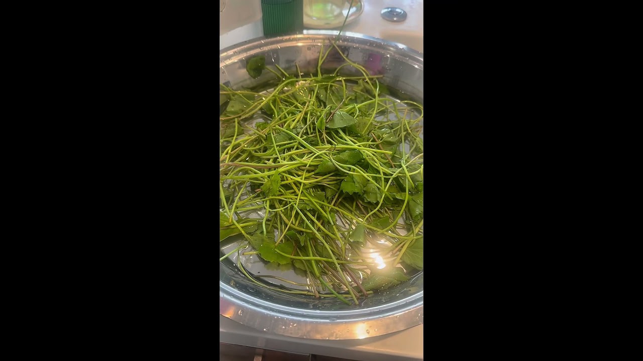 Kola Kanda (herbal Congee)
