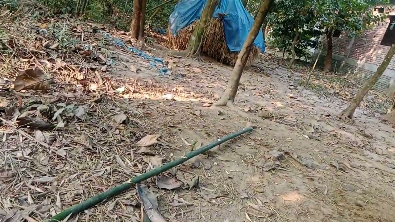 প্রতিদিন 1000 বার ইস্তেগফার পাঠ করলে আপনার জীবন বদলে যাবে দুনিয়াতে জান্নাতের সুখ অনুভব করতে পারবেন