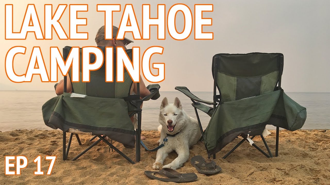 Exploring Lake Tahoe with Our White Husky Leo | Camper Van Life S1:E17