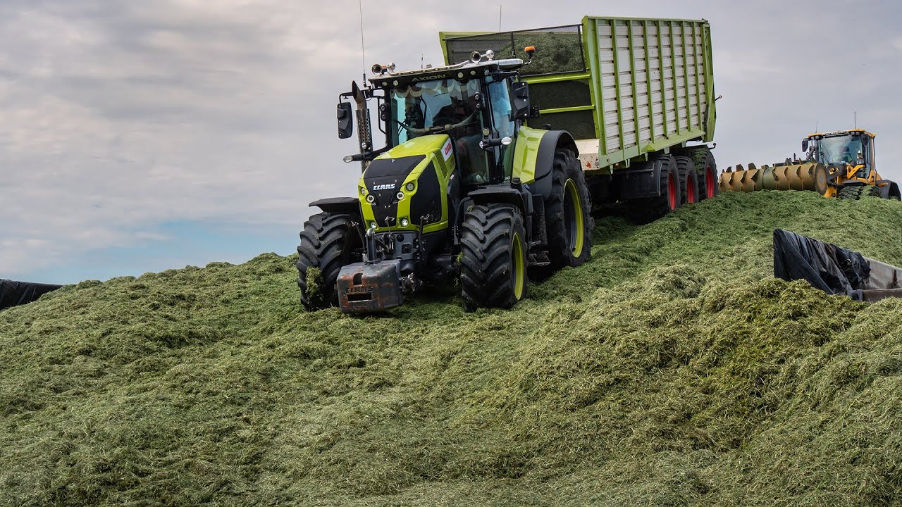 Травяной силос с Claas Jaguar 960 / Pleizier en Timmer / 2022