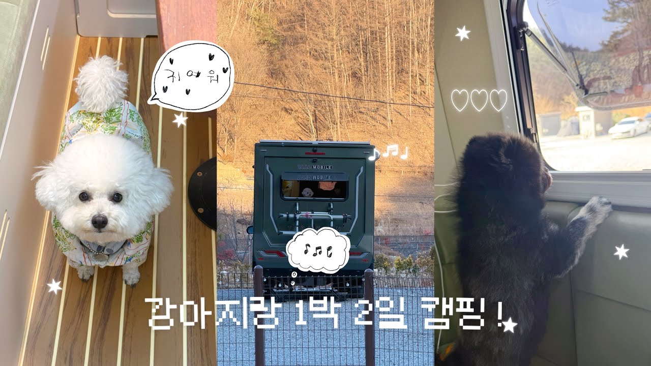 강아지랑 천안/아산 주변 1박 2일 캠핑 | 캠핑카 | 반하면오토캠핑장 | 애견동반캠핑